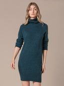 Supersoft Roll Neck Knee Length Dress