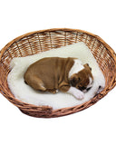 Pet Blanket